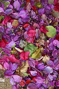 think purple