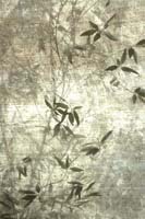 Zen Canvas