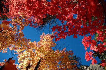 Sedona autumn